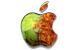 apple_pourrie